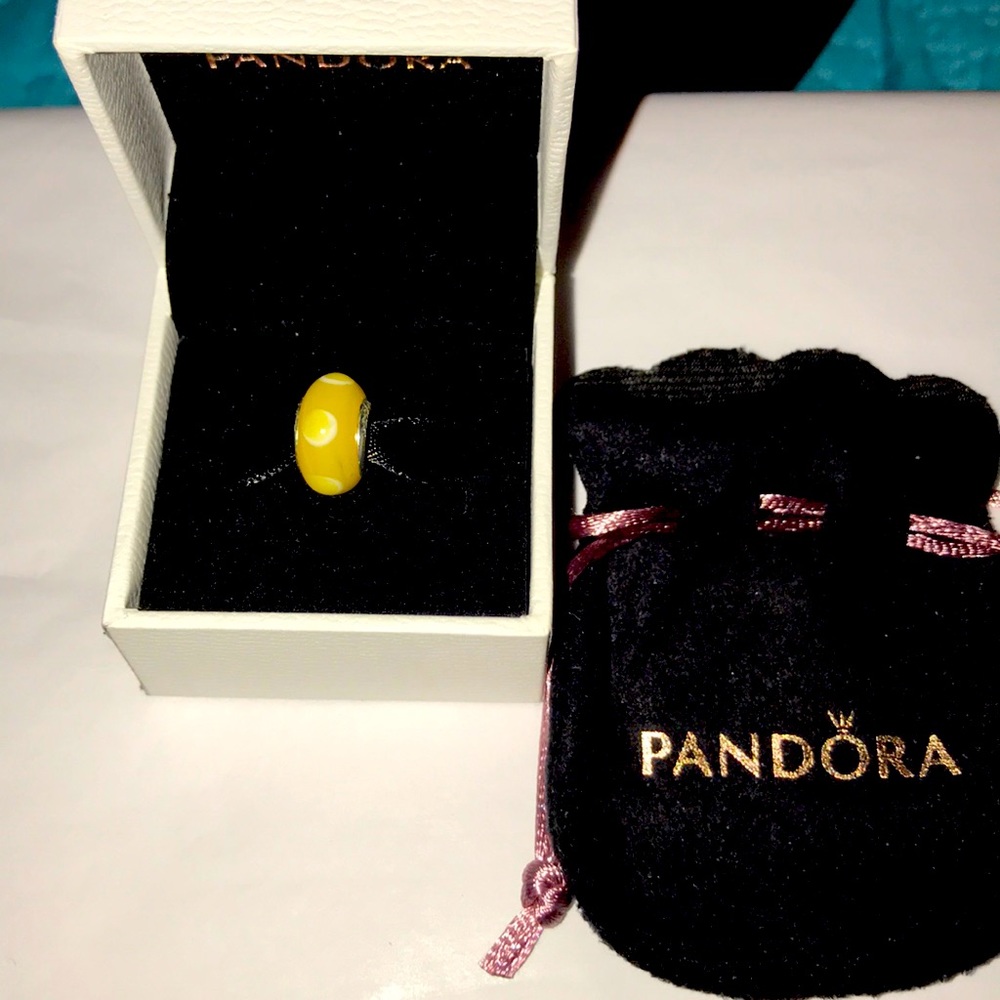 Nice Pandora Charm 
with Velvet Pandora Pouch